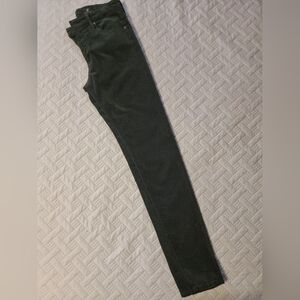Adriano Goldschmed Velvet Pants Dark Green